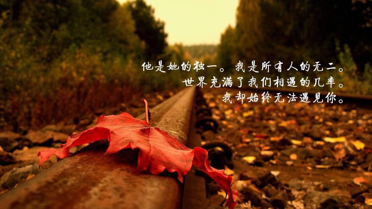 网红商城